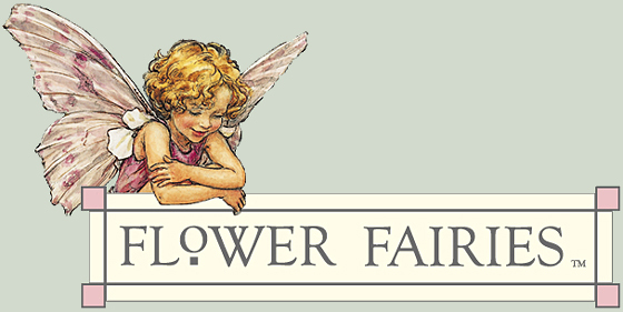 Flower Fairies Dolls by R. John Wright