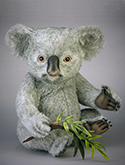 Joey Koala