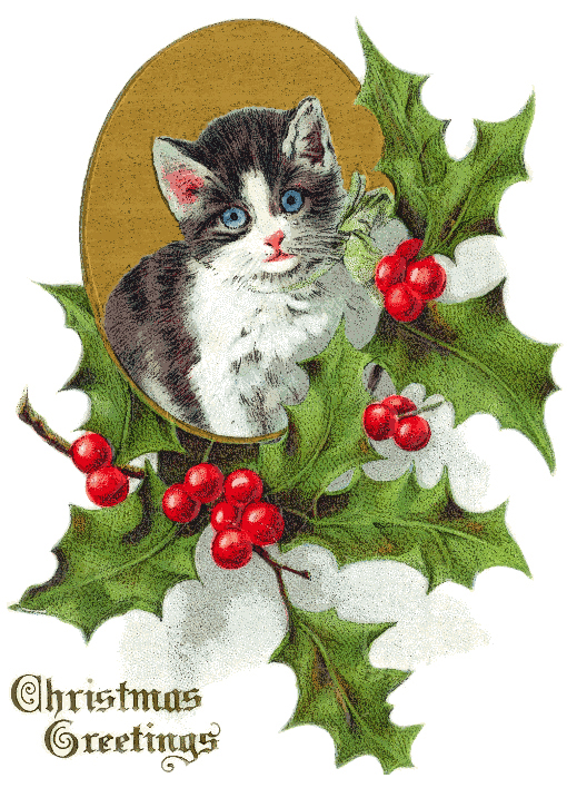 Christmas Kittens