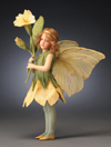 Primrose Fairy